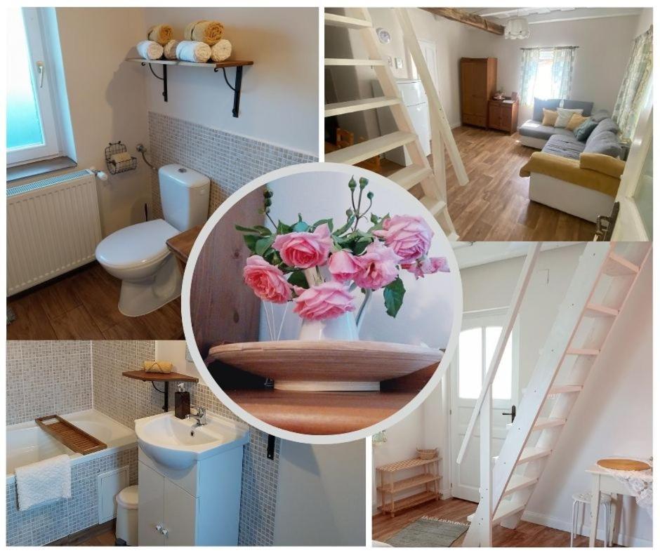 Rugosa Apartament Sárospatak